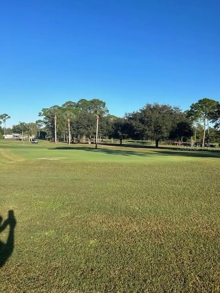 79 Eagle Point S Osteen FL 32764