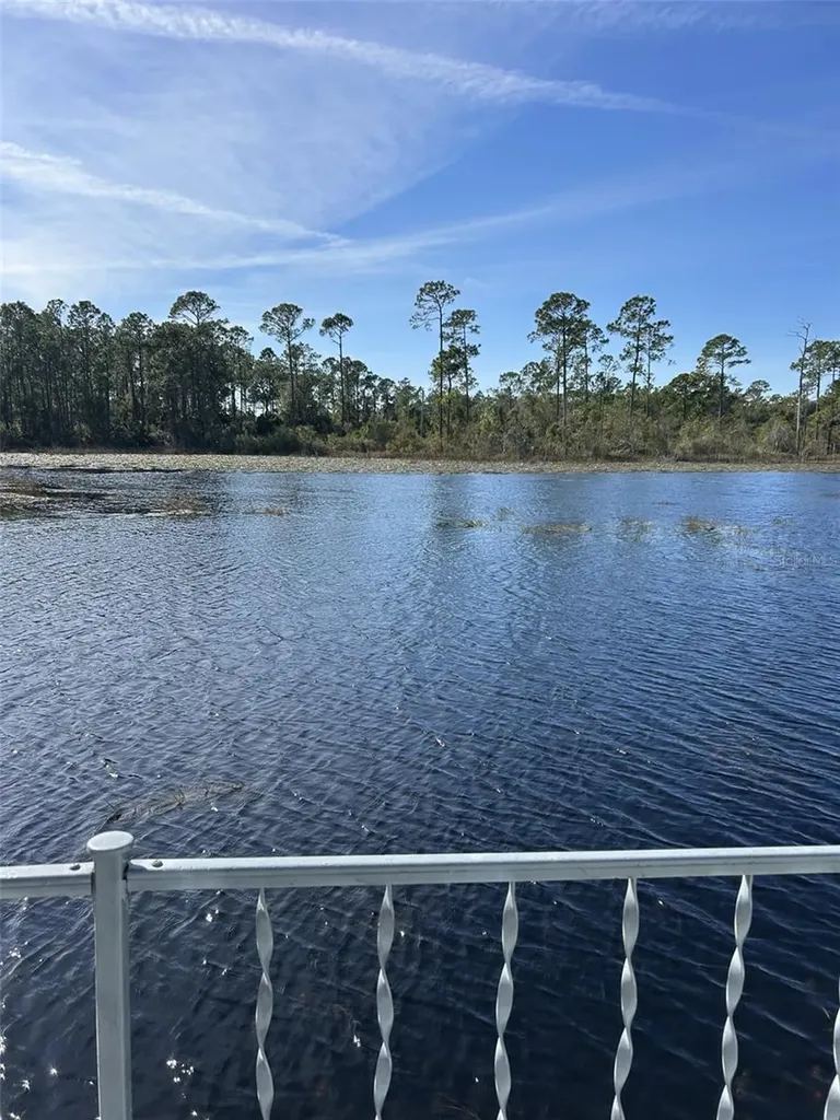 79 Eagle Point S Osteen FL 32764