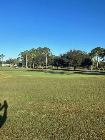 79 Eagle Point S Osteen FL 32764