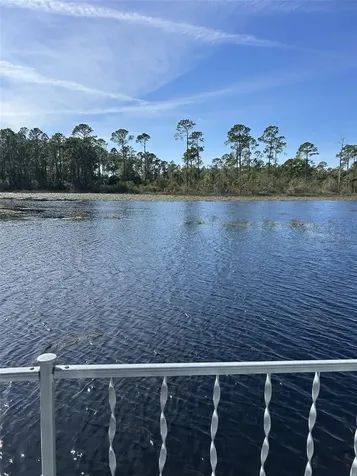 79 Eagle Point S Osteen FL 32764