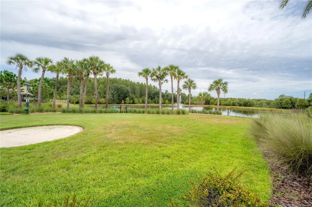 2469 Stapleford Place Wesley Chapel FL 33543