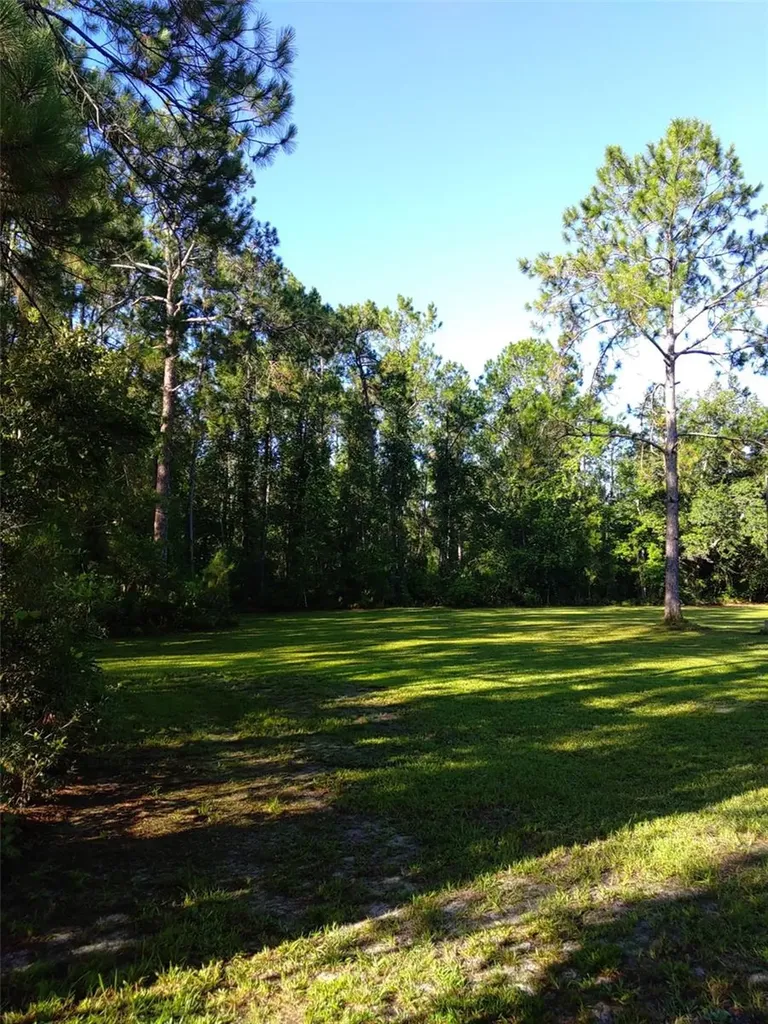 10411 County Road 474 Clermont FL 34714