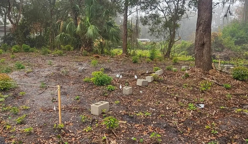 Pevetty Plant City FL 33563