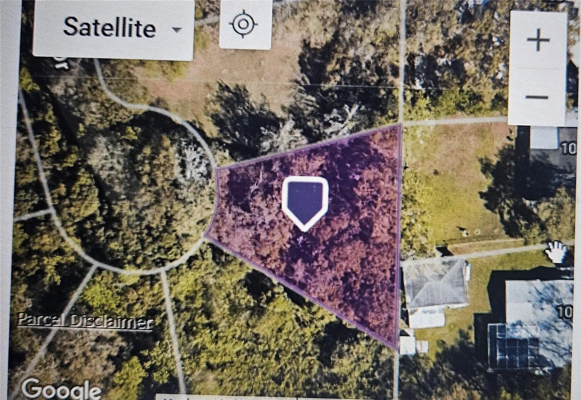 Pevetty Plant City FL 33563