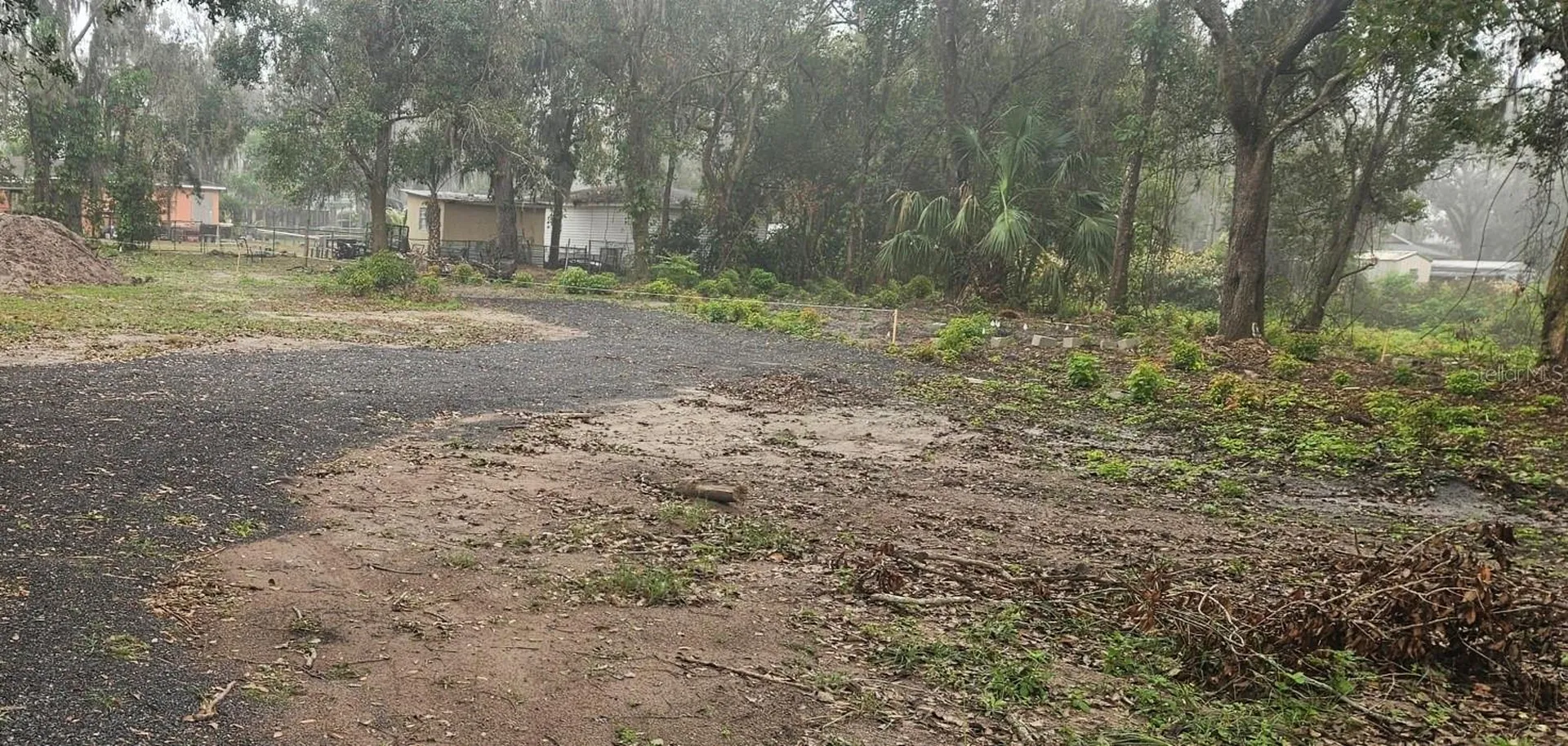 Pevetty Plant City FL 33563