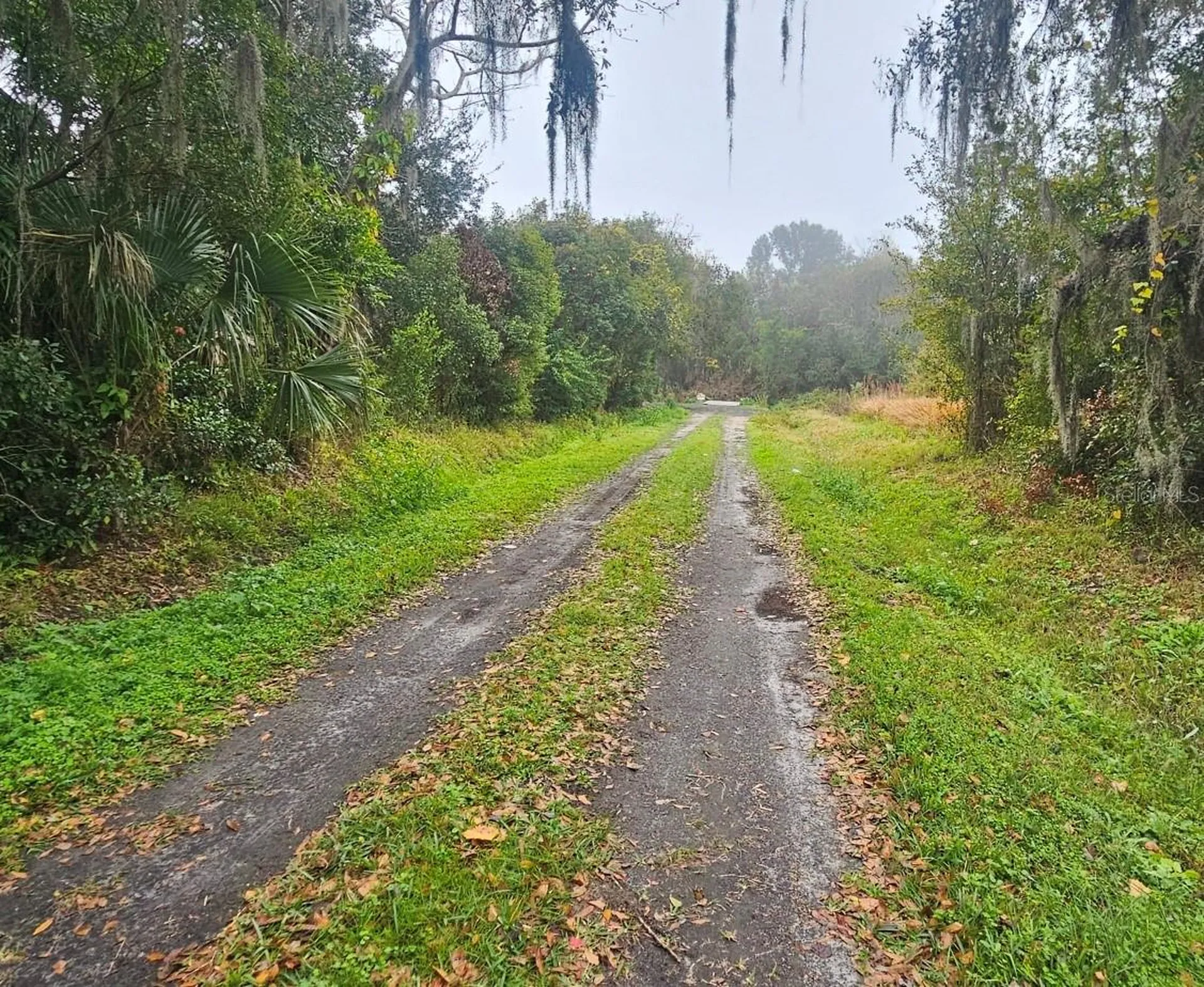 Pevetty Plant City FL 33563