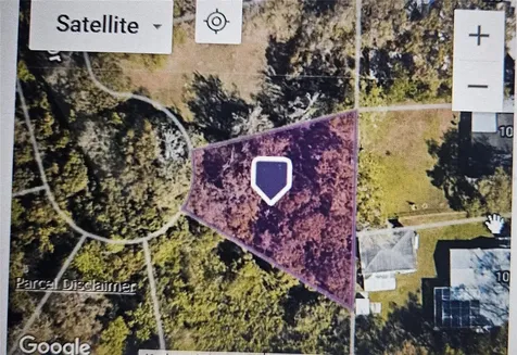 Pevetty Plant City FL 33563