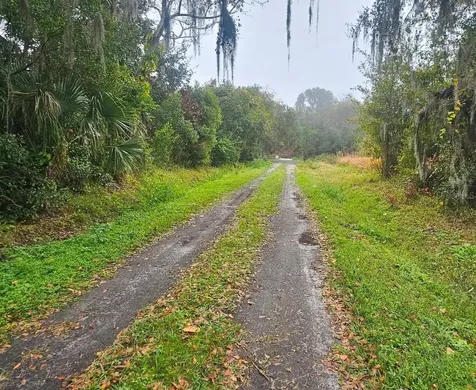 Pevetty Plant City FL 33563