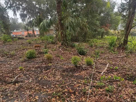 Pevetty Plant City FL 33563