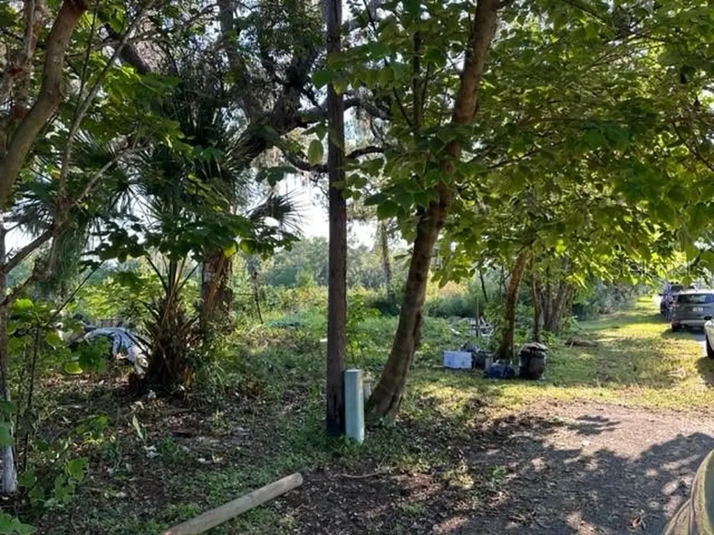 10207 E Pike Drive Inverness FL 34450