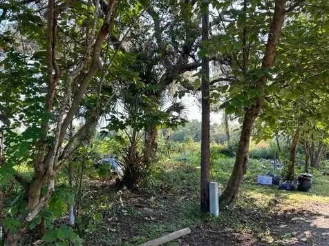 10207 E Pike Drive Inverness FL 34450