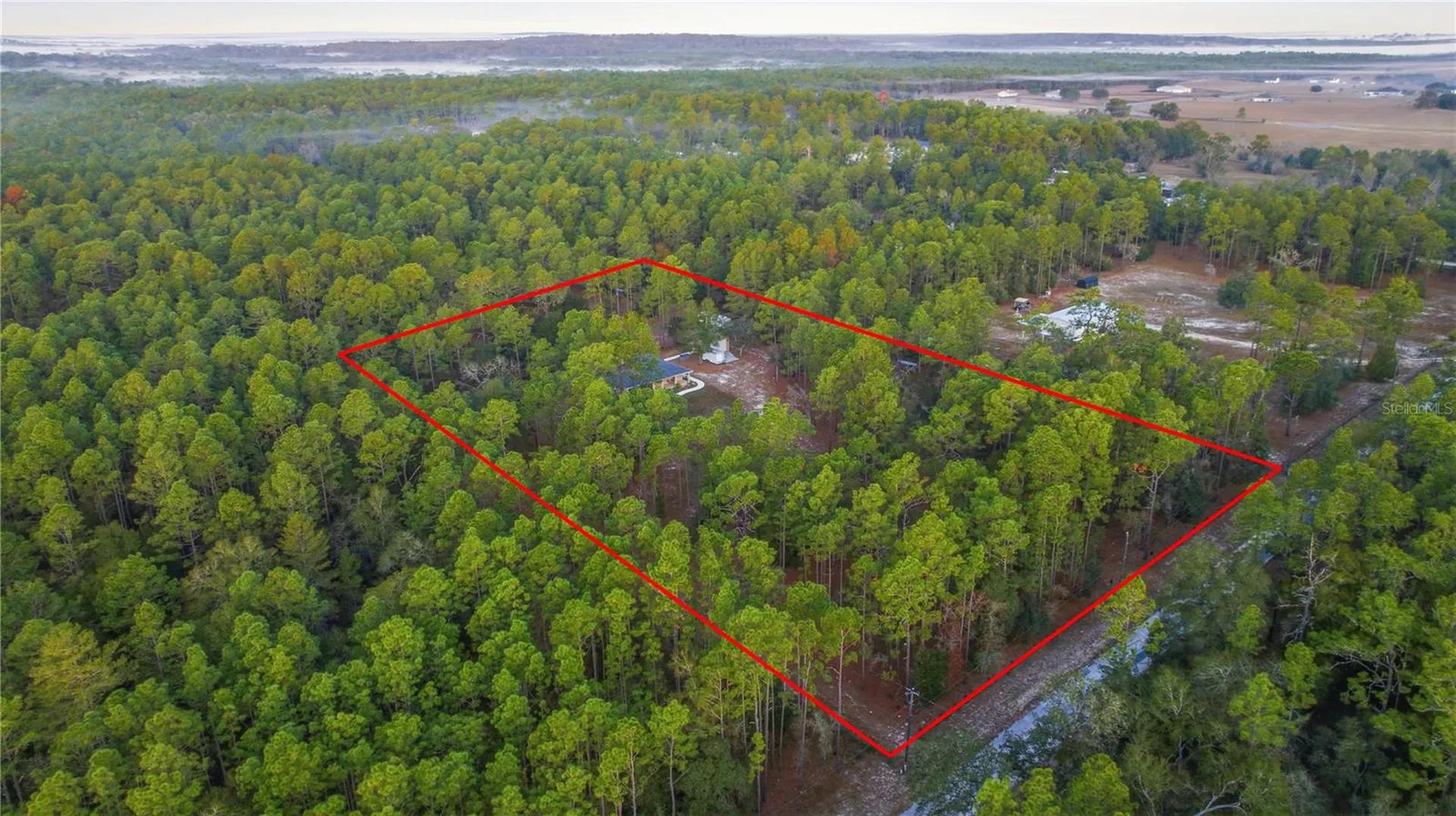 12028 S Pine Oak Terrace Floral City FL 34436