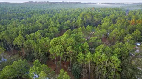 12028 S Pine Oak Terrace Floral City FL 34436