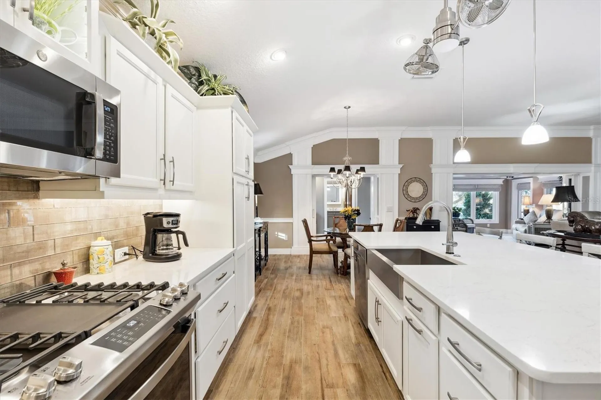4515 Biggs Place The Villages FL 32163