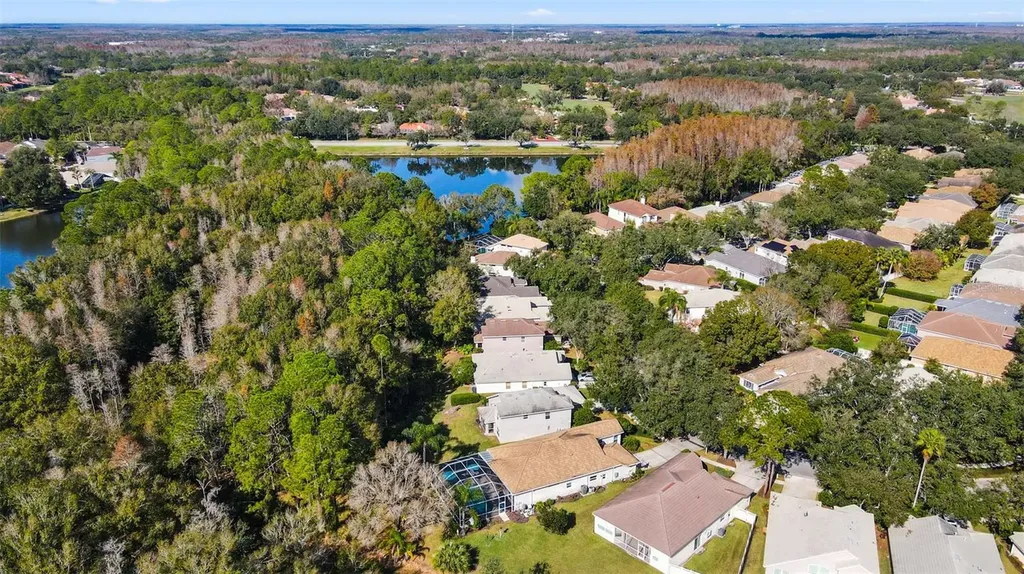 17704 Nathans Drive Tampa FL 33647