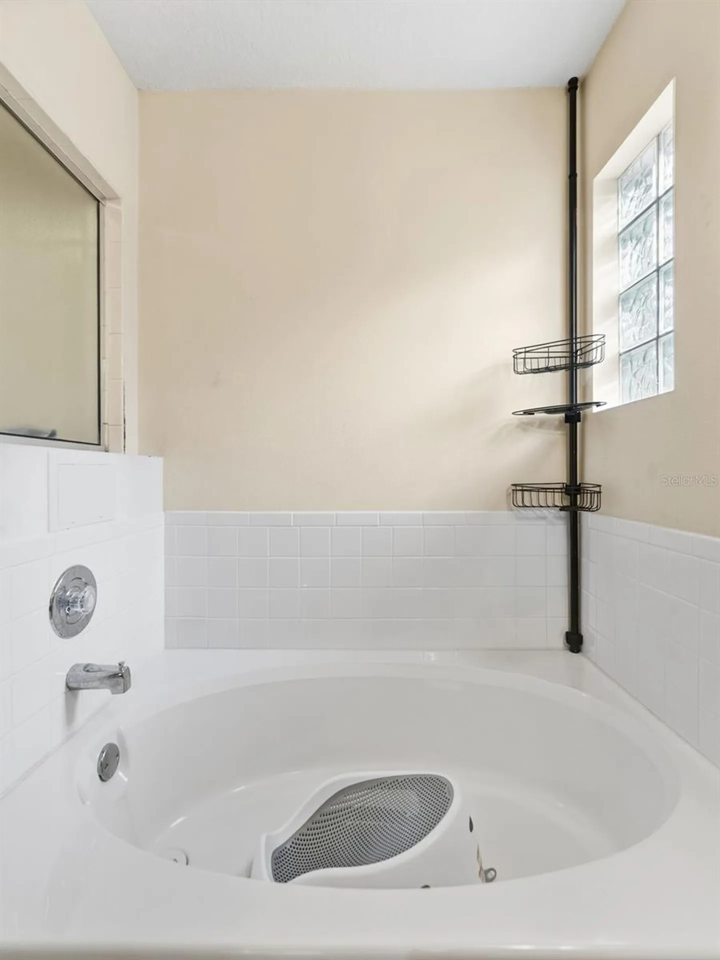 17704 Nathans Drive Tampa FL 33647