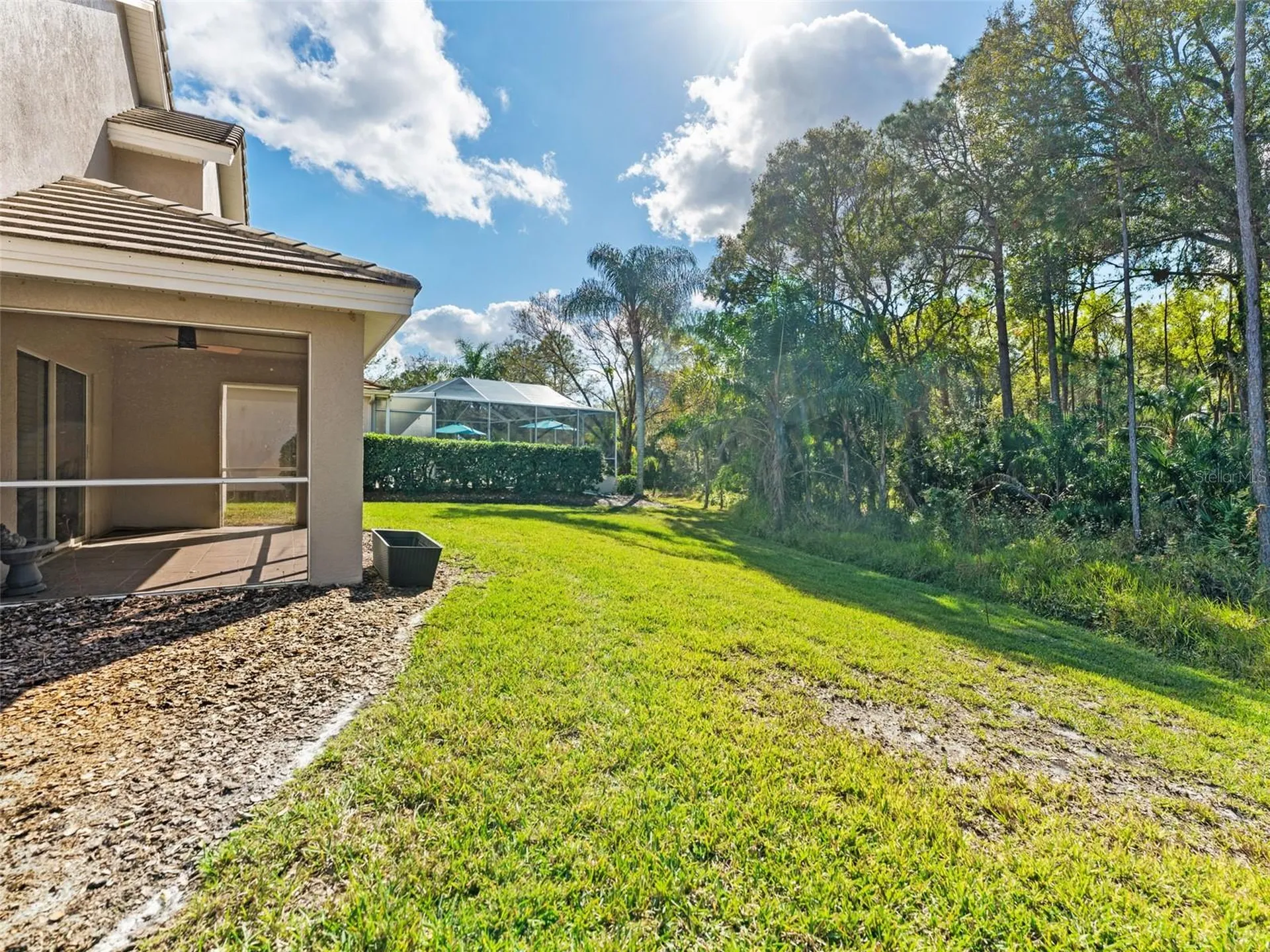 17704 Nathans Drive Tampa FL 33647