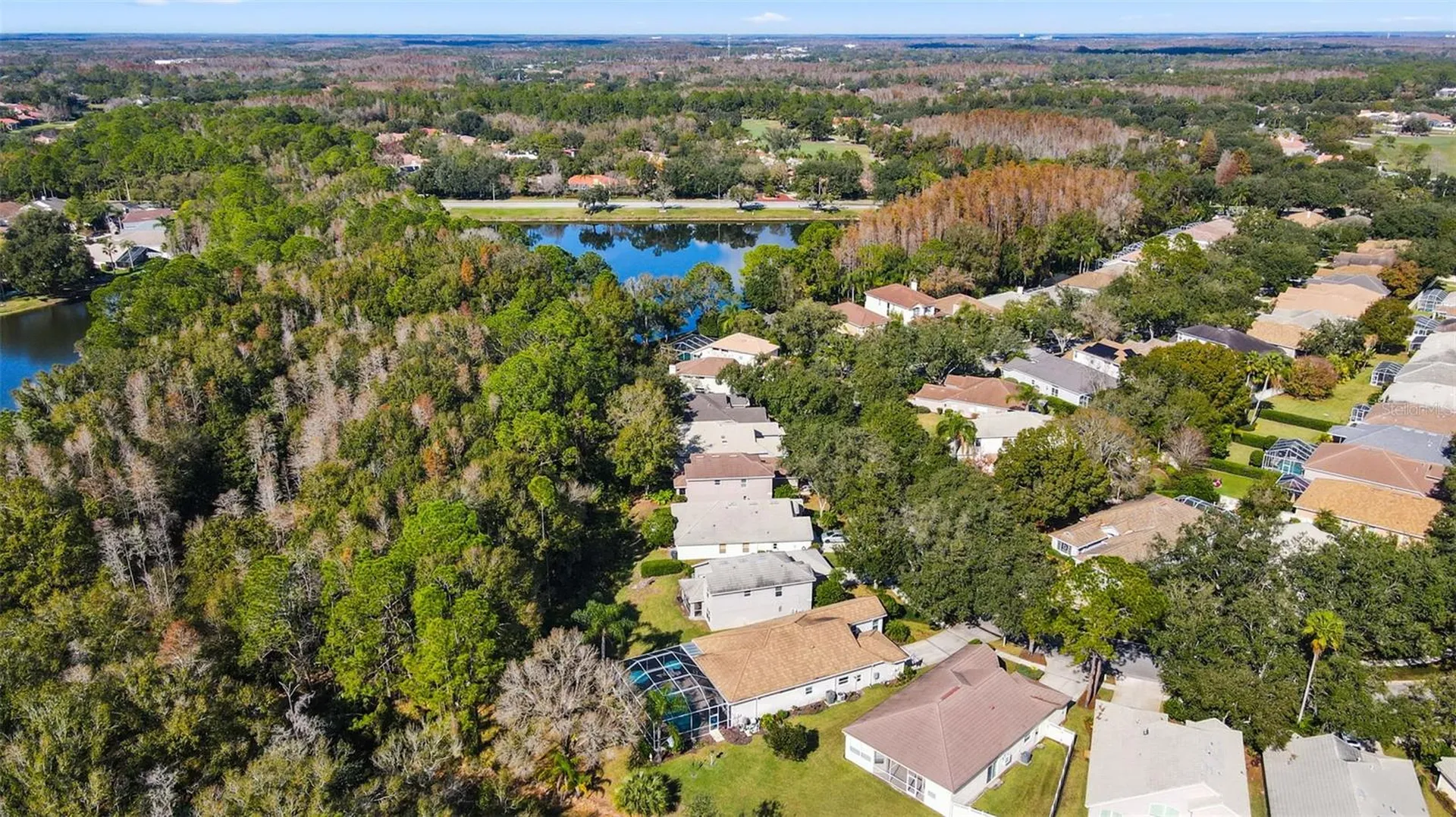 17704 Nathans Drive Tampa FL 33647