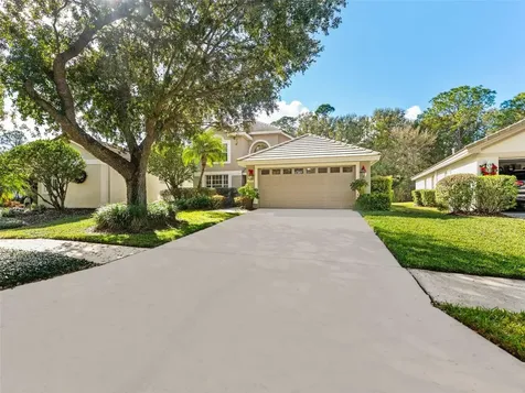 17704 Nathans Drive Tampa FL 33647