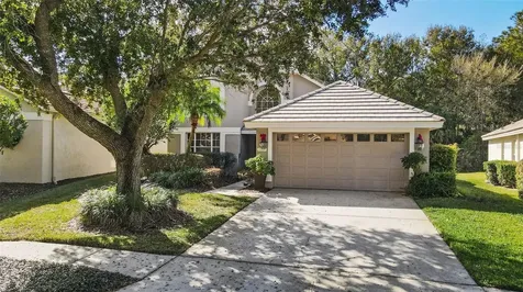 17704 Nathans Drive Tampa FL 33647