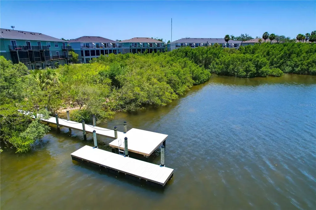 842 Tennyson Mill Circle Tampa FL 33619