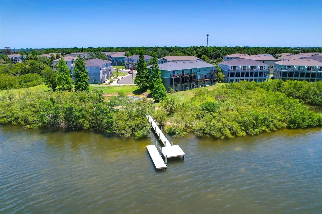 842 Tennyson Mill Circle Tampa FL 33619