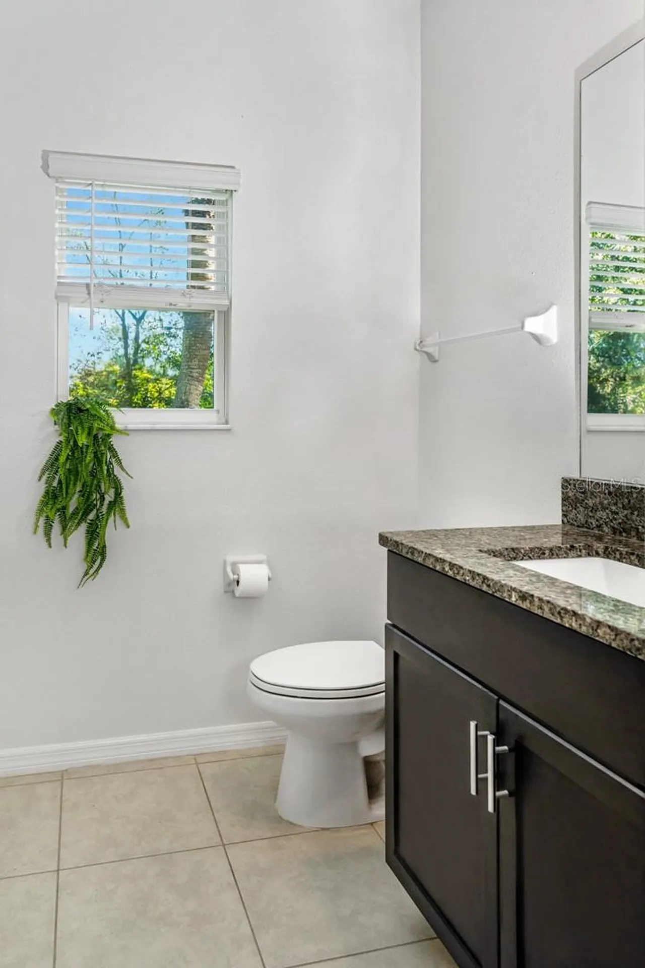 842 Tennyson Mill Circle Tampa FL 33619