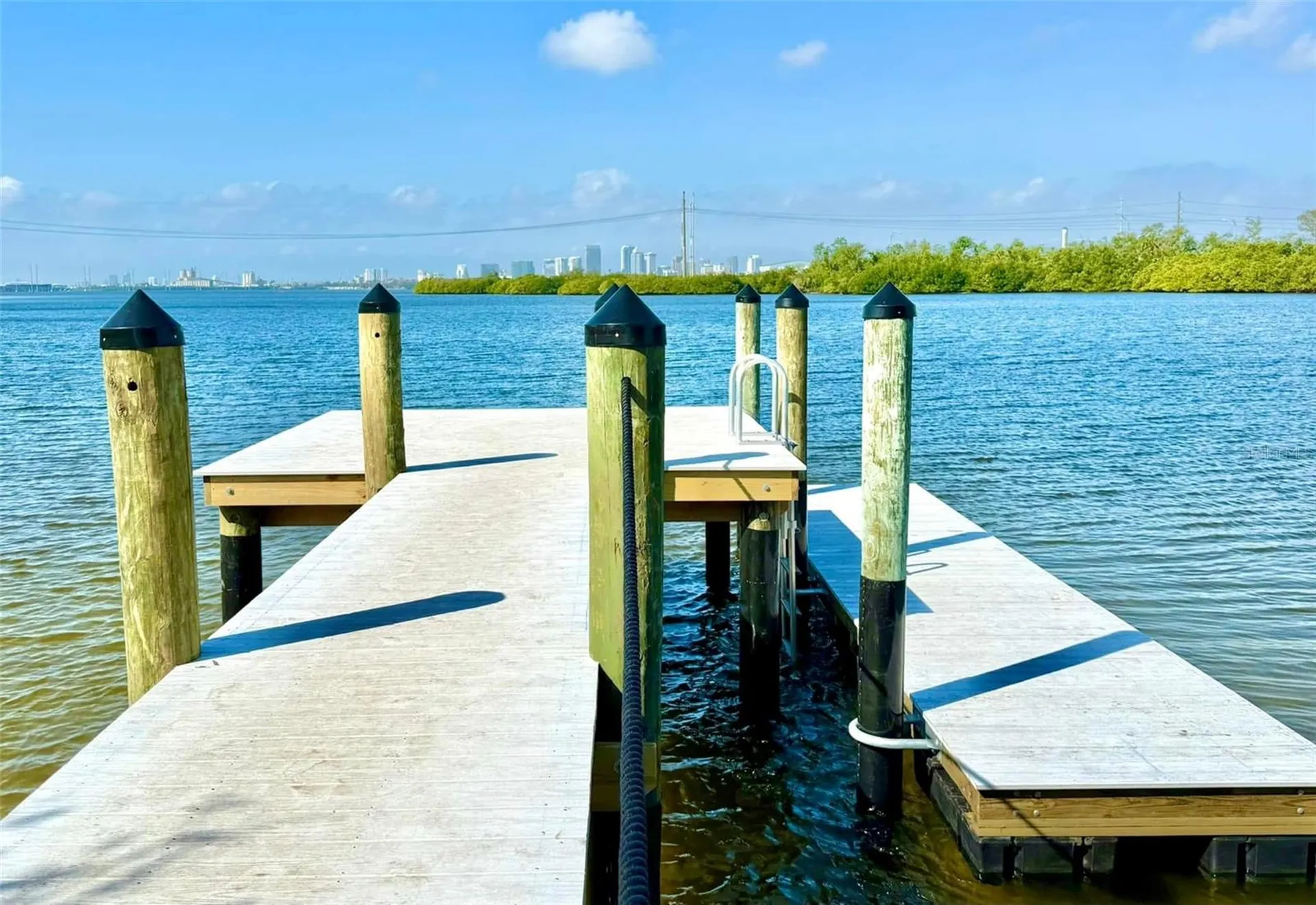 842 Tennyson Mill Circle Tampa FL 33619