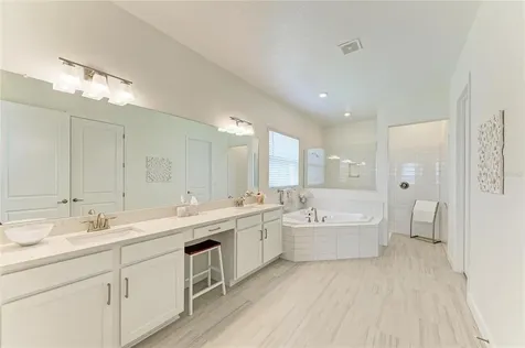 12208 Violet Jasper Drive Parrish FL 34219