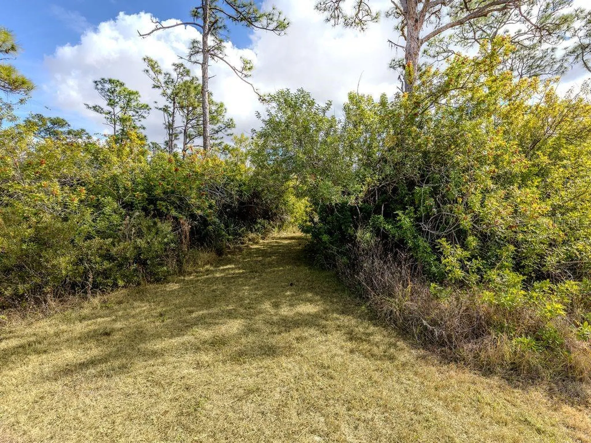 9008 Falcon Court Venice FL 34293