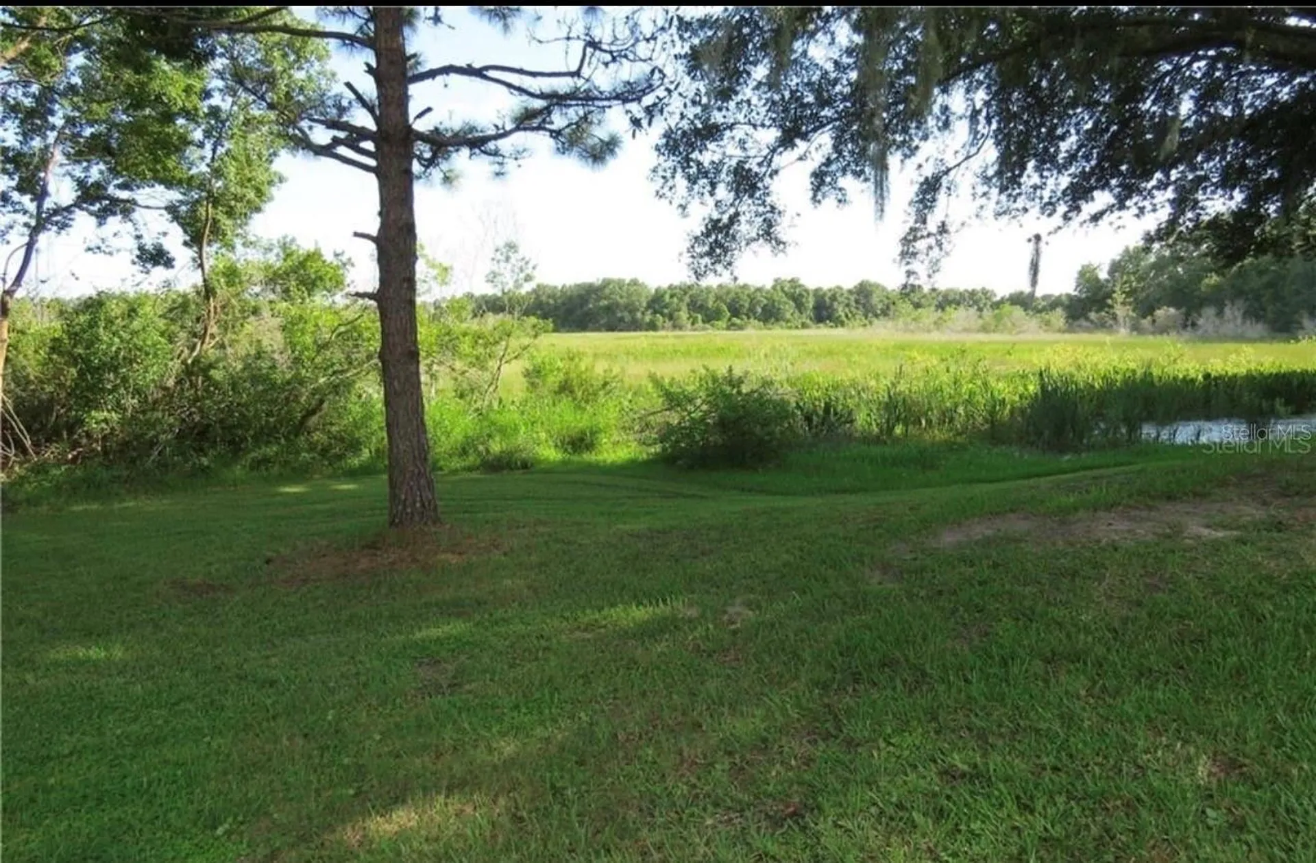 26707 Cash Court Leesburg FL 34748