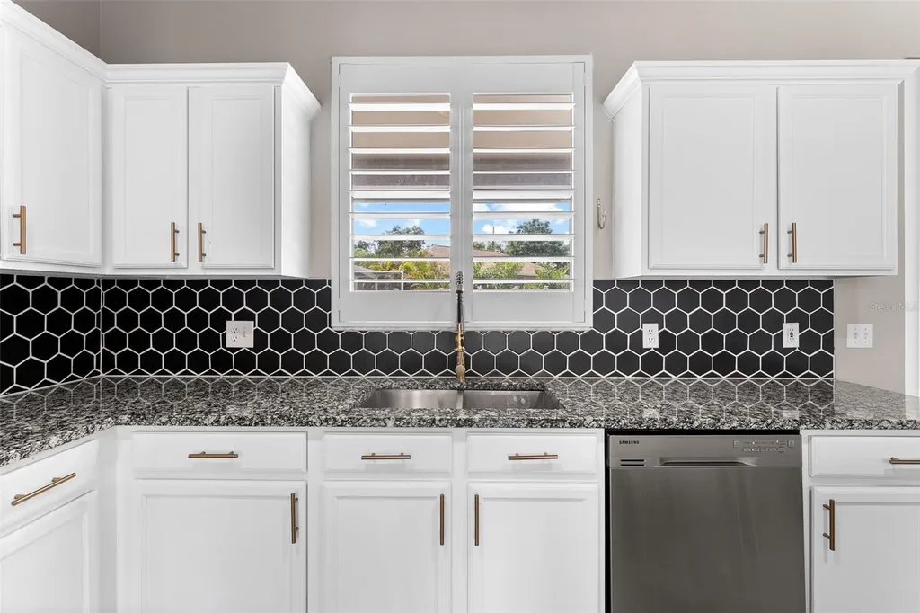 1291 Blackrush Drive Tarpon Springs FL 34689