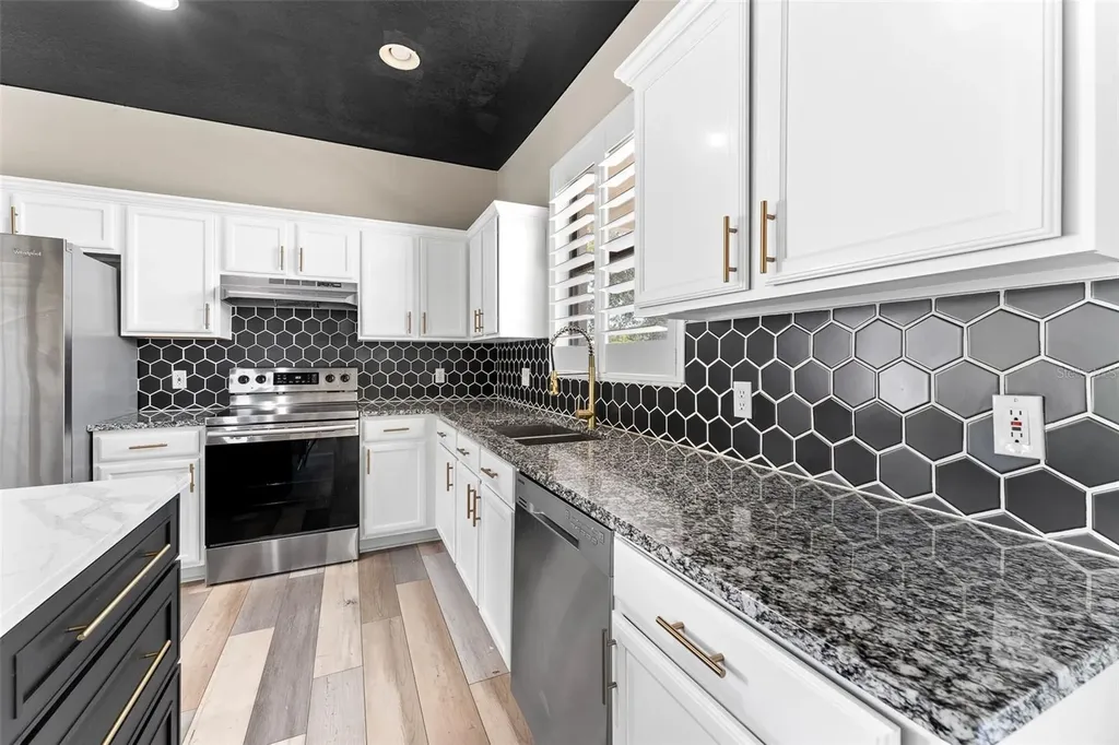 1291 Blackrush Drive Tarpon Springs FL 34689