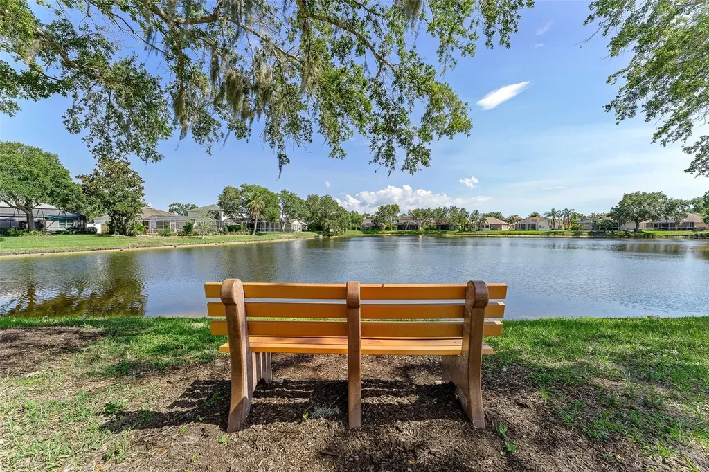 1291 Blackrush Drive Tarpon Springs FL 34689