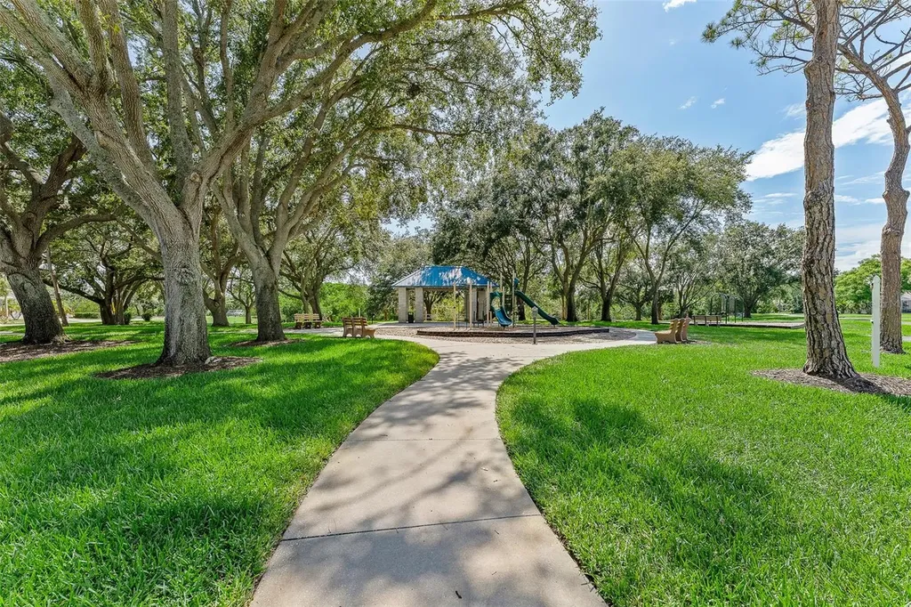 1291 Blackrush Drive Tarpon Springs FL 34689