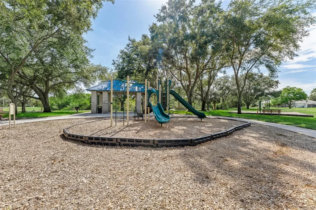 1291 Blackrush Drive Tarpon Springs FL 34689