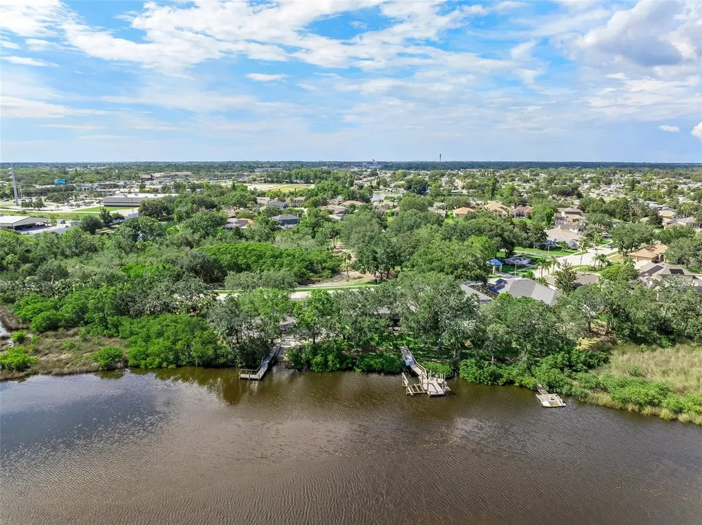 1291 Blackrush Drive Tarpon Springs FL 34689