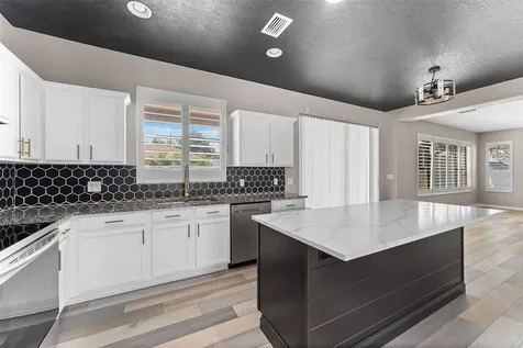 1291 Blackrush Drive Tarpon Springs FL 34689