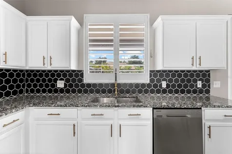 1291 Blackrush Drive Tarpon Springs FL 34689