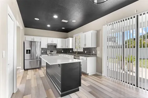 1291 Blackrush Drive Tarpon Springs FL 34689