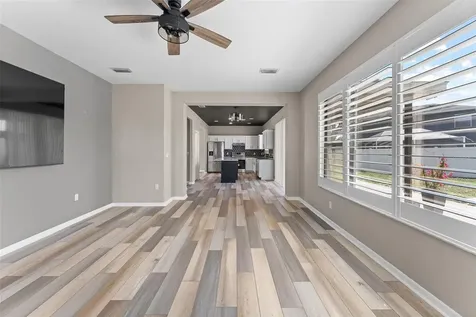 1291 Blackrush Drive Tarpon Springs FL 34689