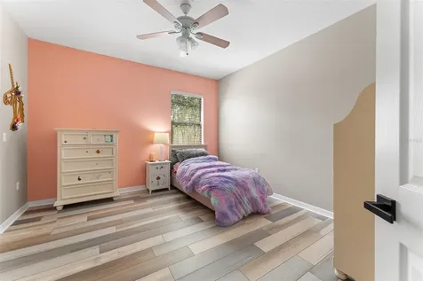1291 Blackrush Drive Tarpon Springs FL 34689