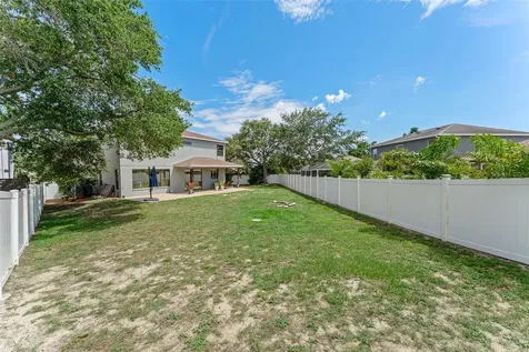 1291 Blackrush Drive Tarpon Springs FL 34689