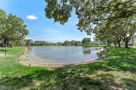 1291 Blackrush Drive Tarpon Springs FL 34689