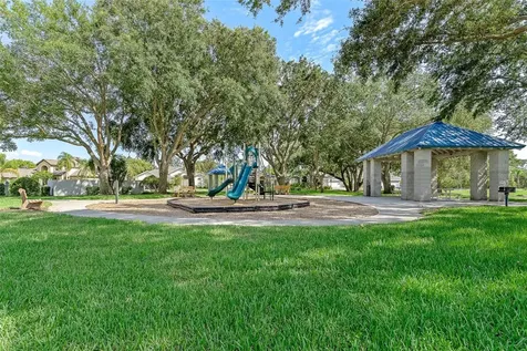 1291 Blackrush Drive Tarpon Springs FL 34689