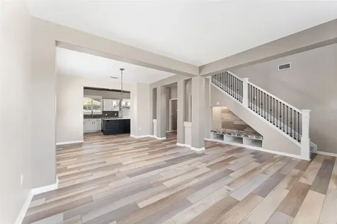 1291 Blackrush Drive Tarpon Springs FL 34689