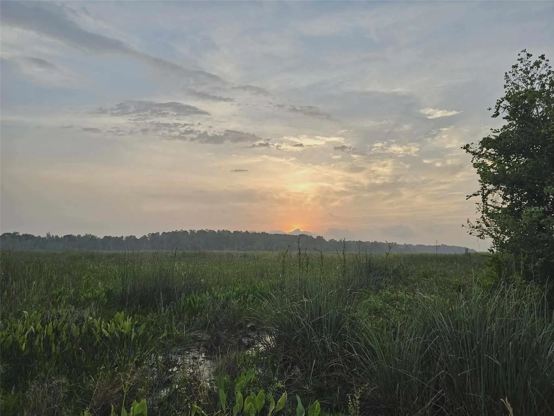 10895 SE Timucuan Road Summerfield FL 34491