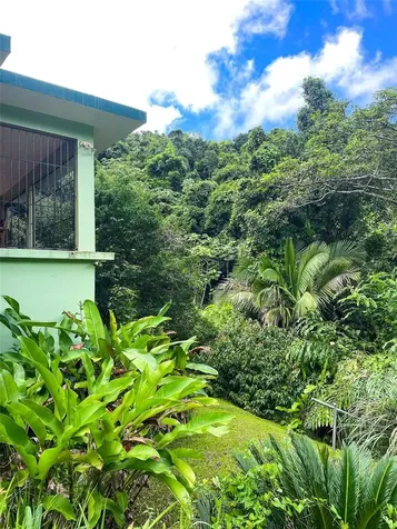 38 Colinas De Cubuy Canovanas PR 00729