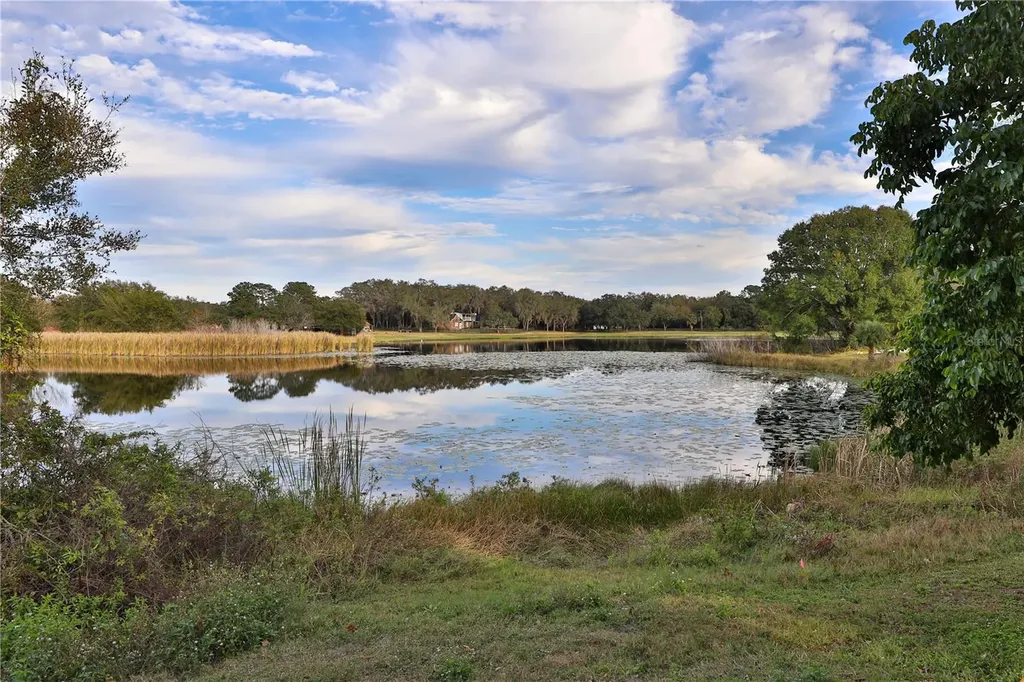 9872 Bubbling Brook Court Oviedo FL 32765