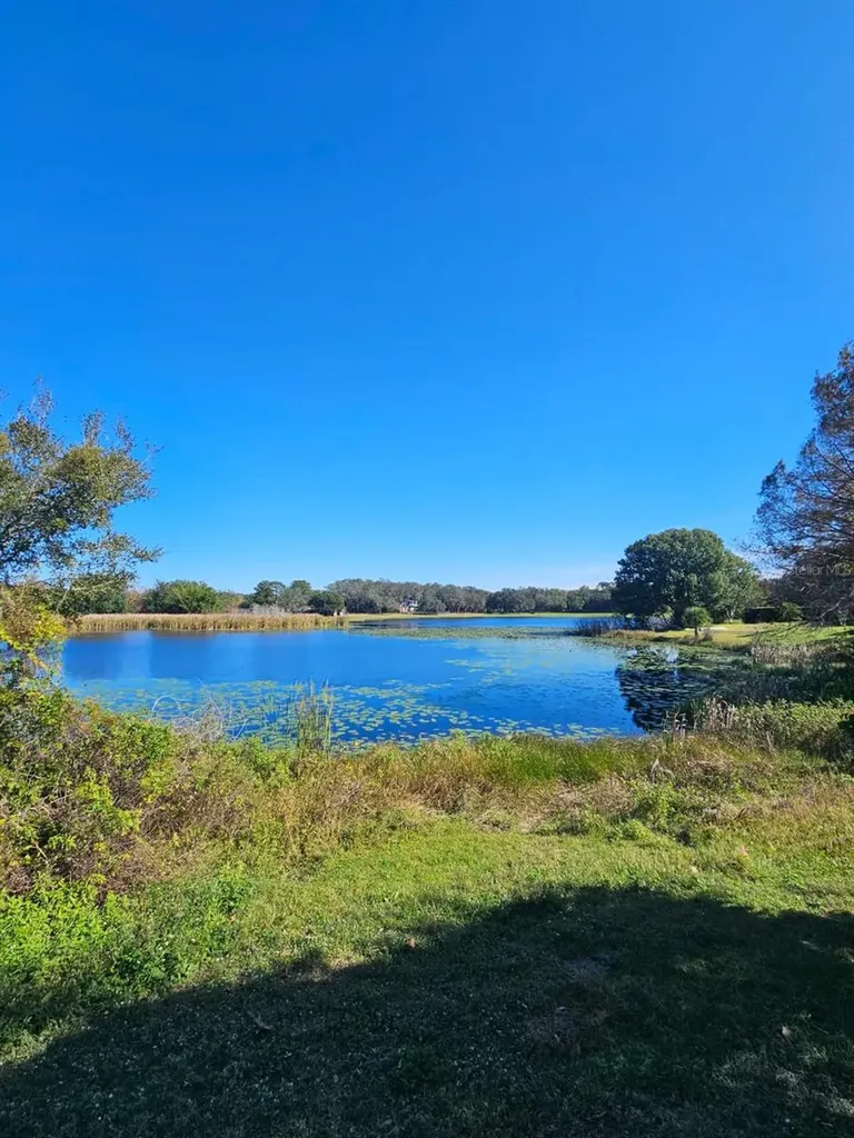 9872 Bubbling Brook Court Oviedo FL 32765